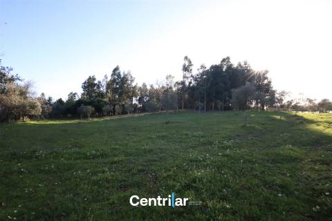 Terreno agrícola de 5 hectares com água e bons acessos