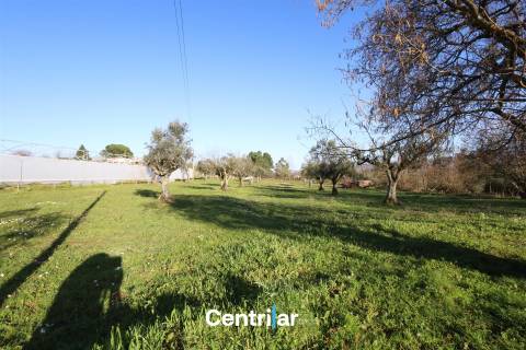 Terreno agrícola de 5 hectares com água e bons acessos