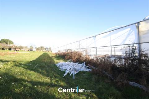 Terreno agrícola de 5 hectares com água e bons acessos