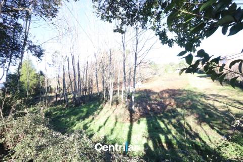 Terreno para construção de Pavilhão com 1.35 ha  junto à estrada nacional