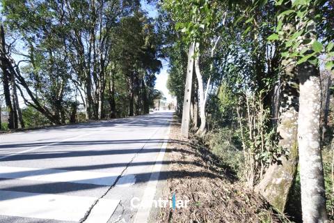 Terreno para construção de Pavilhão com 1.35 ha  junto à estrada nacional