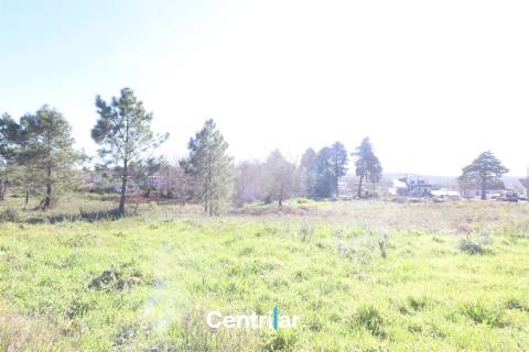 Terreno para construção de Pavilhão com 1.35 ha  junto à estrada nacional