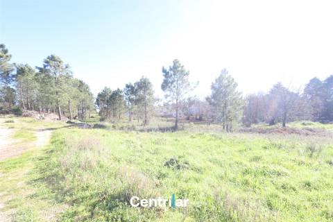 Terreno para construção de Pavilhão com 1.35 ha  junto à estrada nacional