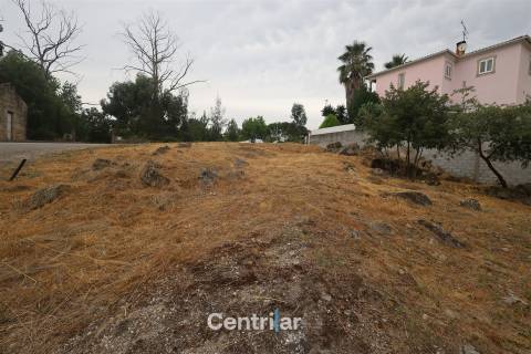 Lote de Terreno  Venda em Mangualde, Mesquitela e Cunha Alta,Mangualde