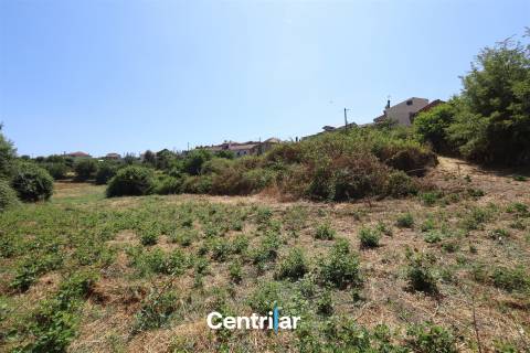Imóvel em Pedra com Terreno Edificável e Vista para a Serra da Estrela