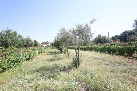Moradia T5 Venda em Mangualde, Mesquitela e Cunha Alta,Mangualde