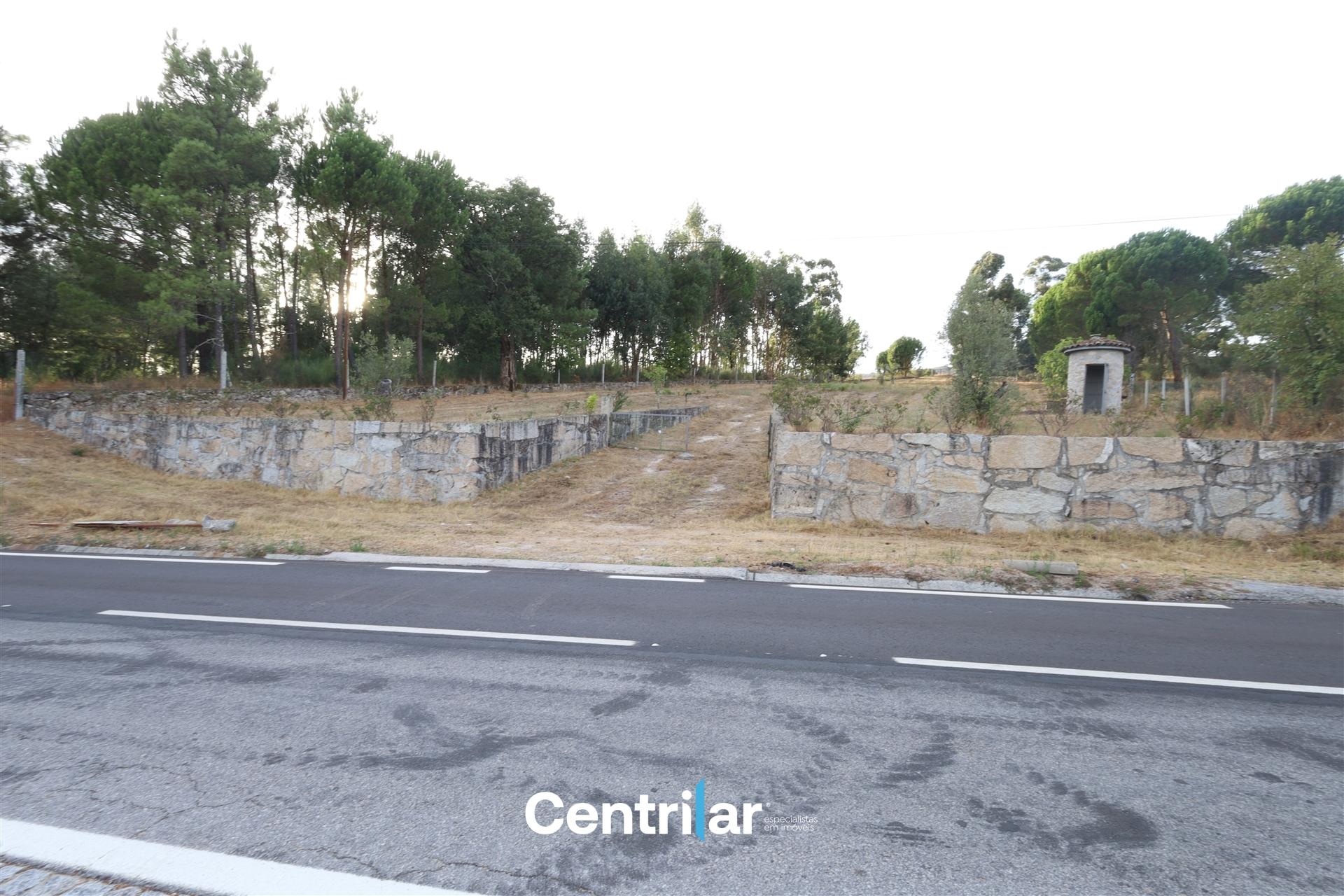 Terreno Rústico  Venda em Abrunhosa-a-Velha,Mangualde
