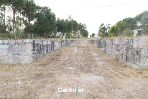 Terreno Rústico  Venda em Abrunhosa-a-Velha,Mangualde