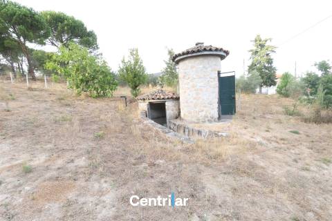 Terreno Rústico  Venda em Abrunhosa-a-Velha,Mangualde