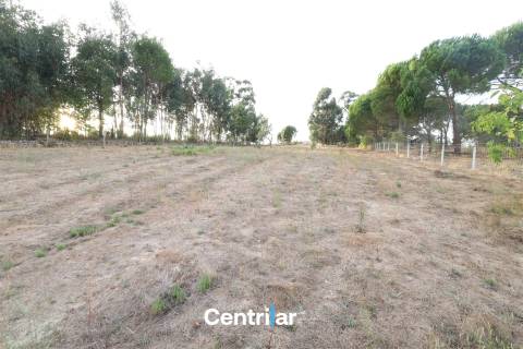 Terreno Rústico  Venda em Abrunhosa-a-Velha,Mangualde