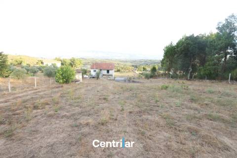 Terreno Rústico  Venda em Abrunhosa-a-Velha,Mangualde