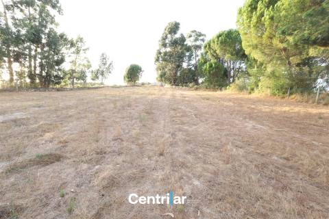 Terreno Rústico  Venda em Abrunhosa-a-Velha,Mangualde