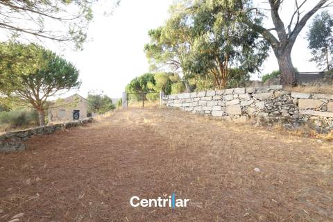 Terreno Rústico  Venda em Abrunhosa-a-Velha,Mangualde