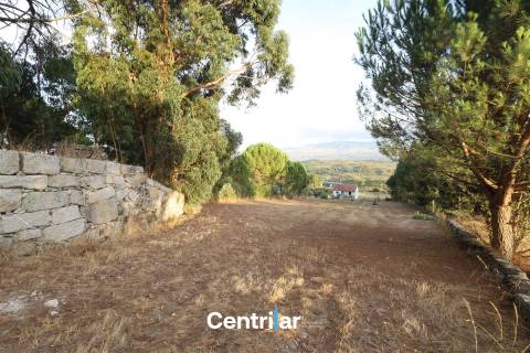 Terreno Rústico  Venda em Abrunhosa-a-Velha,Mangualde
