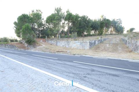 Terreno Rústico  Venda em Abrunhosa-a-Velha,Mangualde