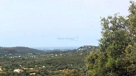 Ruína para Restauro com Terreno Generoso e Vista Deslumbrante