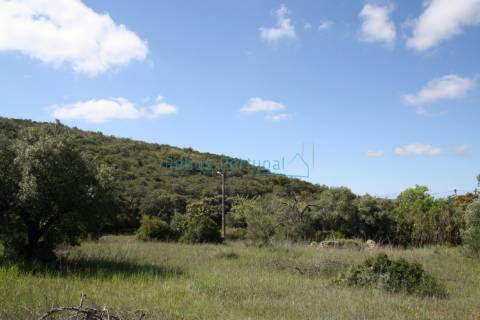 Terreno com ruína para reconstrução e ampliação