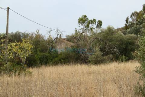 Terreno com ruína para reconstrução e ampliação