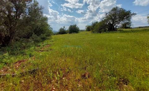 Terreno com ruina para restaurar e ampliar