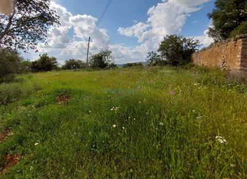 Terreno com ruina para restaurar e ampliar