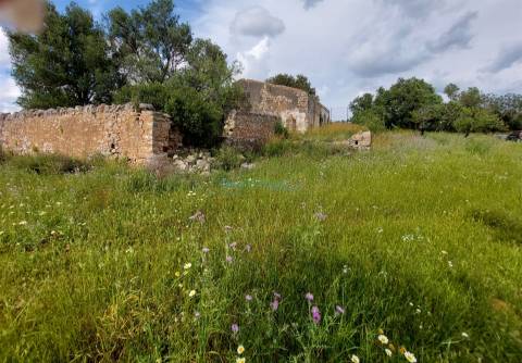 Terreno com ruina para restaurar e ampliar