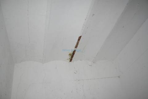 Quinta antiga com muito potencial