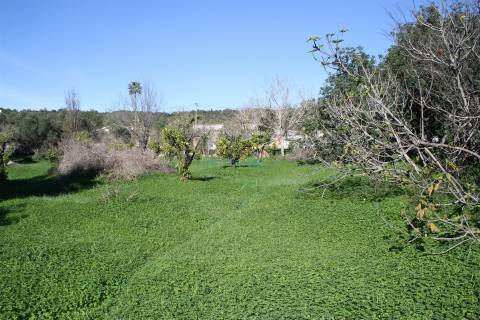 Terreno para construção de  2 moradias  individuais de 300m2 cada + piscina