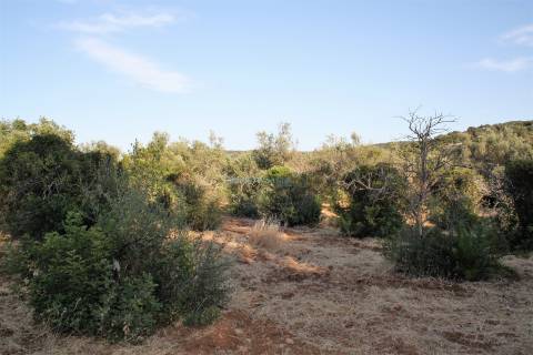Terreno para construção de  2 moradias  individuais de 300m2 cada + piscina