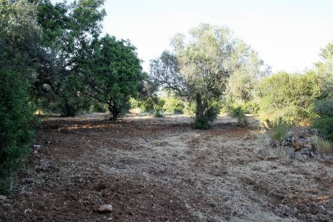 Terreno para construção de  2 moradias  individuais de 300m2 cada + piscina