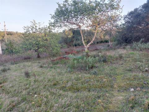 Terreno Rústico com Vistas campo – 10.800m2