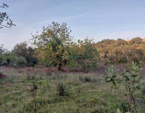 Terreno Rústico com Vistas campo – 10.800m2