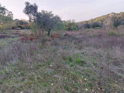 Terreno Rústico com Vistas campo – 10.800m2