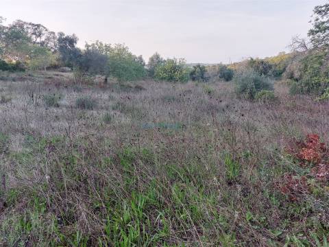 Terreno Rústico com Vistas campo – 10.800m2