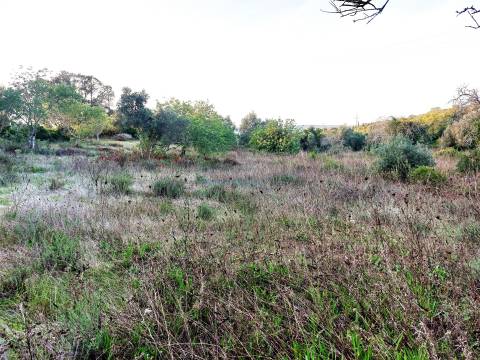 Terreno Rústico com Vistas campo – 10.800m2