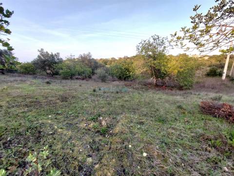 Terreno Rústico com Vistas campo – 10.800m2