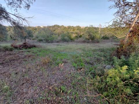 Terreno Rústico com Vistas campo – 10.800m2