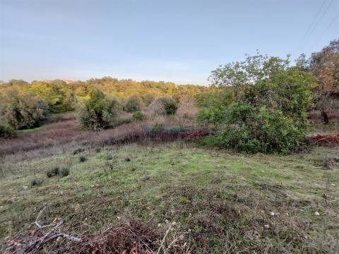 Terreno Rústico com Vistas campo – 10.800m2