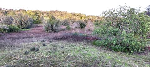 Terreno Rústico com Vistas campo – 10.800m2