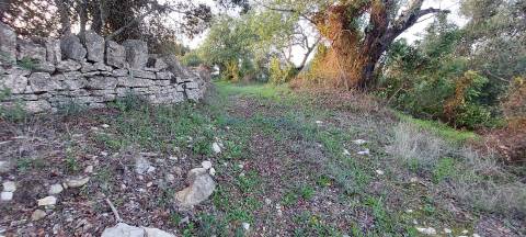 Terreno Rústico com Vistas campo – 10.800m2