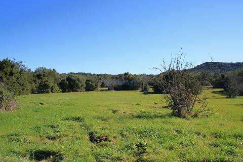 Quinta para restauro, com furo e terreno plano