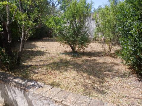 Quinta para restauro, com furo e terreno plano