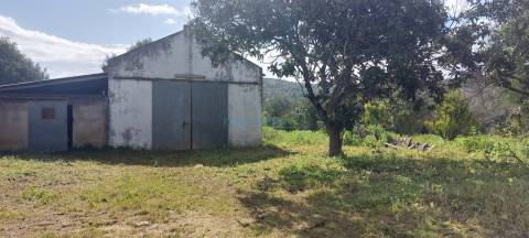 Quinta para restauro, com furo e terreno plano