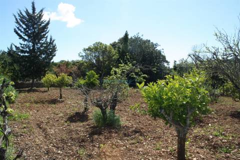 Moradia de 3 quartos com garagem