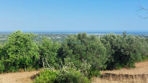 Terreno com projeto aprovado para moradia T3, magnifica vista mar