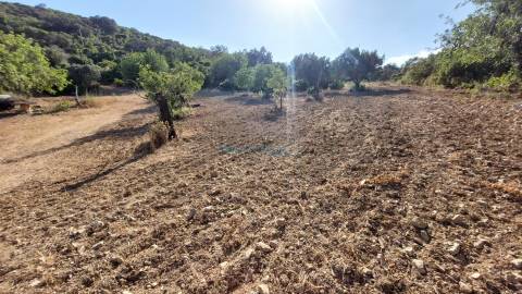 Terreno com projeto aprovado para moradia T3, magnifica vista mar