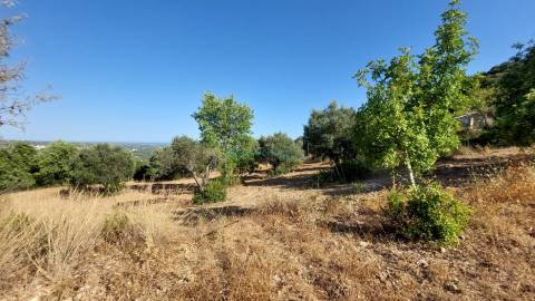 Terreno com projeto aprovado para moradia T3, magnifica vista mar