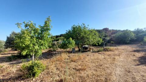 Terreno com projeto aprovado para moradia T3, magnifica vista mar