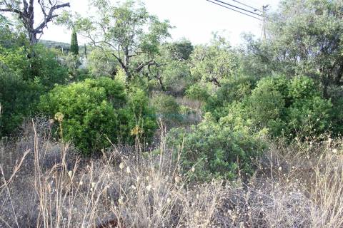 Terreno para construção de 1 ou 2 moradias, magnifica vista de mar
