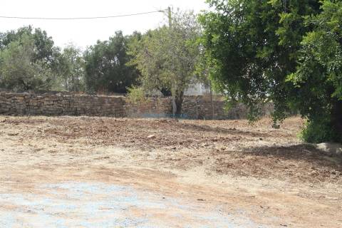 Quinta com 2 moradias para restaurar