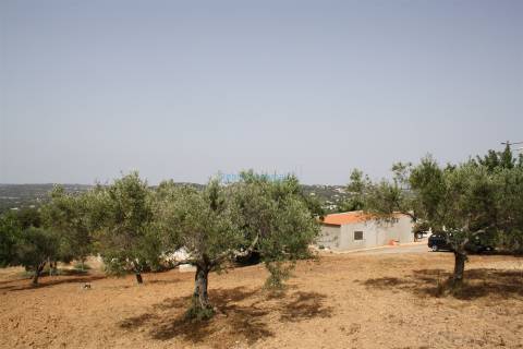 Quinta com 2 moradias para restaurar